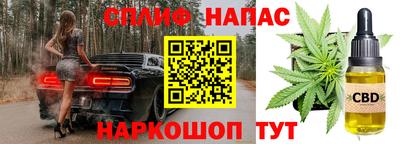МДПВ Пенза