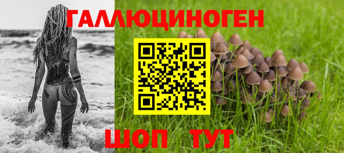 Галлюциногенные грибы Psilocybe  Вход с VPN  закладки  Чебаркуль 