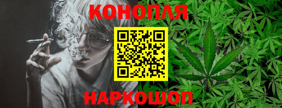Бошки марихуана сатива Чебаркуль
